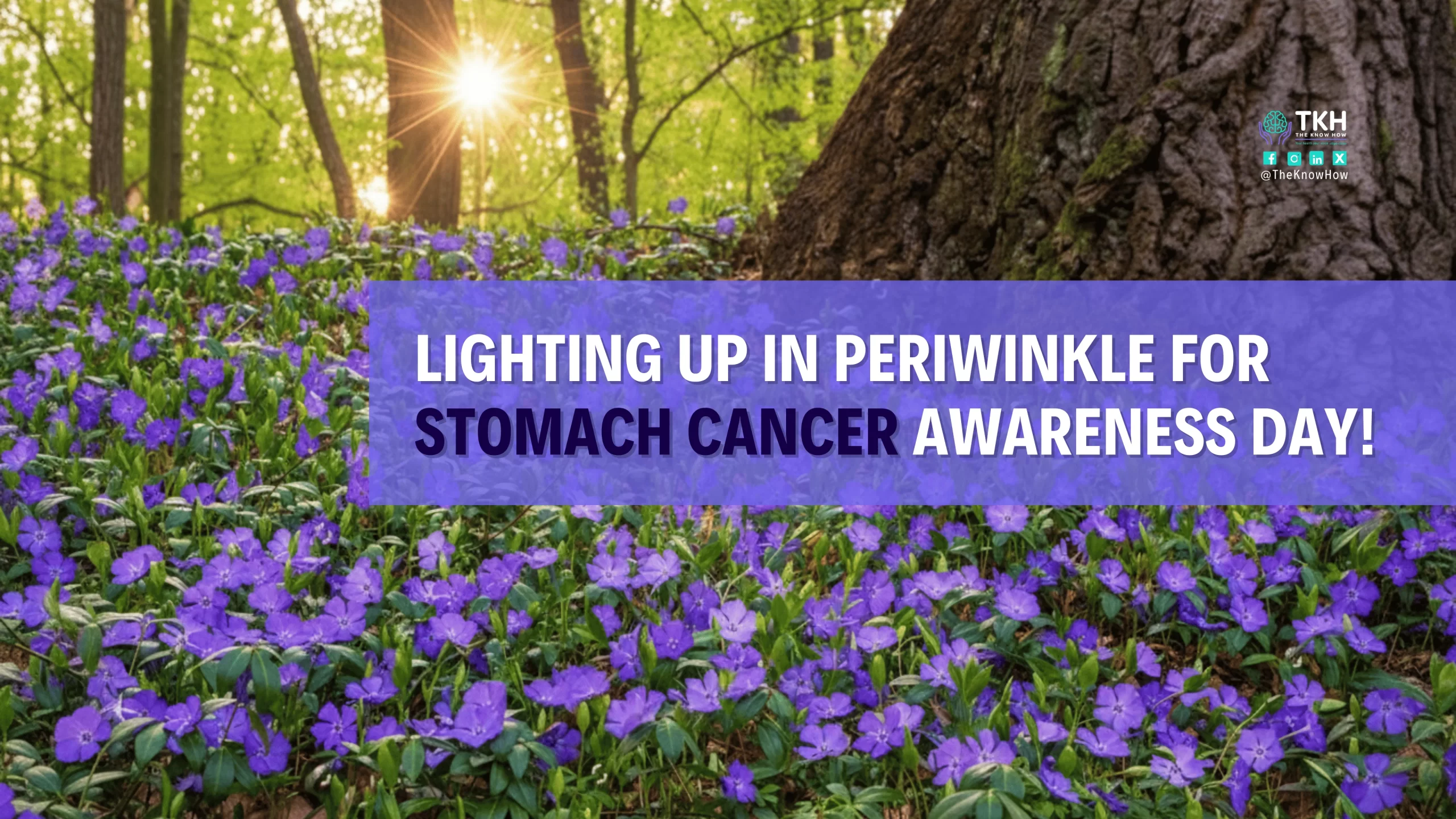 Stomach Cancer Awareness Month